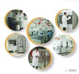 為金發科技研發團隊點贊 亞太第一、全球第二的環保科技先鋒
