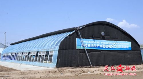 農大學子借力農用酵素微生物工廠，以“大地論文”助力鄉村振興